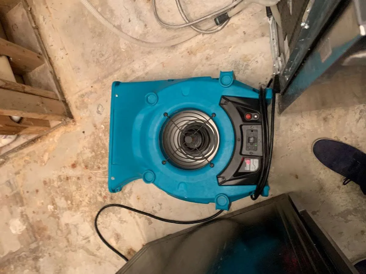 Air mover drying equipment for Mold Remediation & Removal in El Segundo